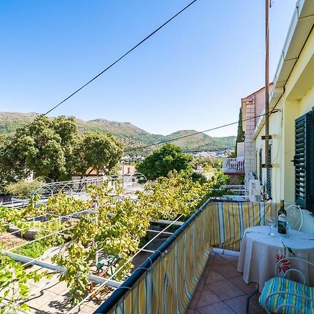 Apartments Lidija Zaton  Zewnętrze zdjęcie