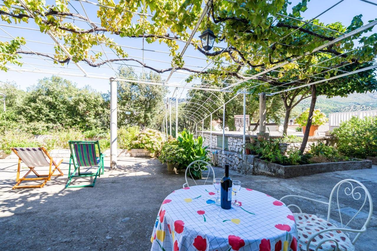Apartments Lidija Zaton  Zewnętrze zdjęcie
