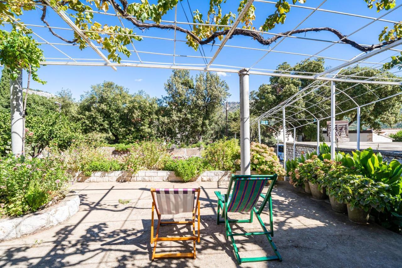 Apartments Lidija Zaton  Zewnętrze zdjęcie