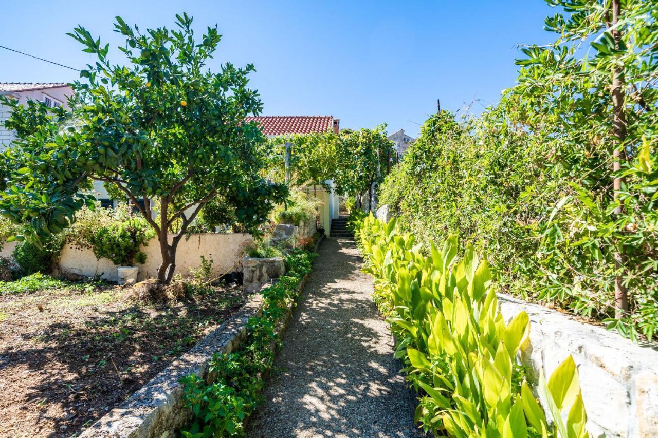 Apartments Lidija Zaton  Zewnętrze zdjęcie